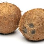 coconut